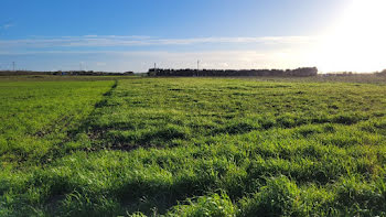 terrain à Villedoux (17)