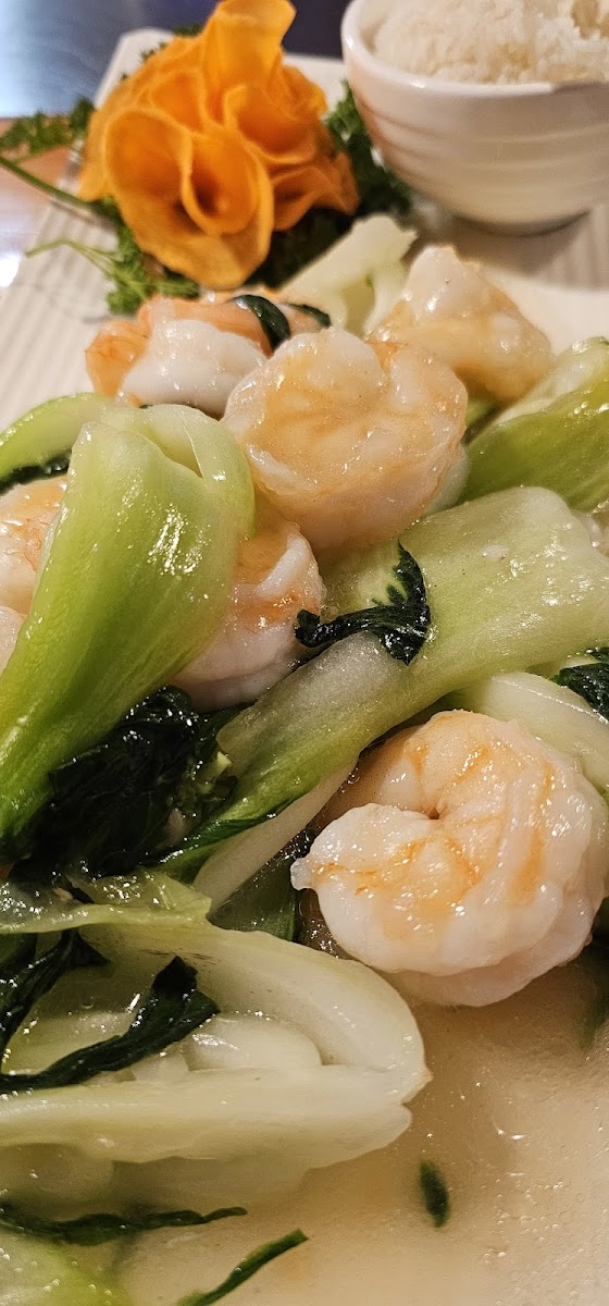 Shrimp Bok Choy