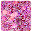 Girly Wallpapers Free Download on Windows