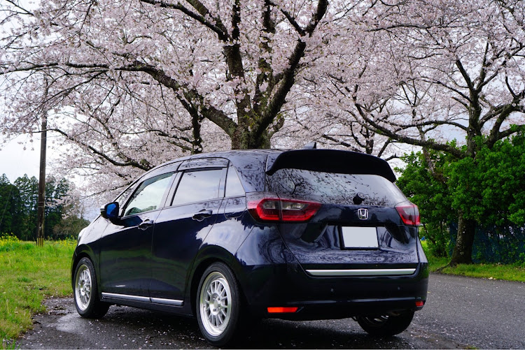フィットのミラーレス一眼・サクラと愛車・桜とコラボに関するカスタム事例の投稿画像2枚目