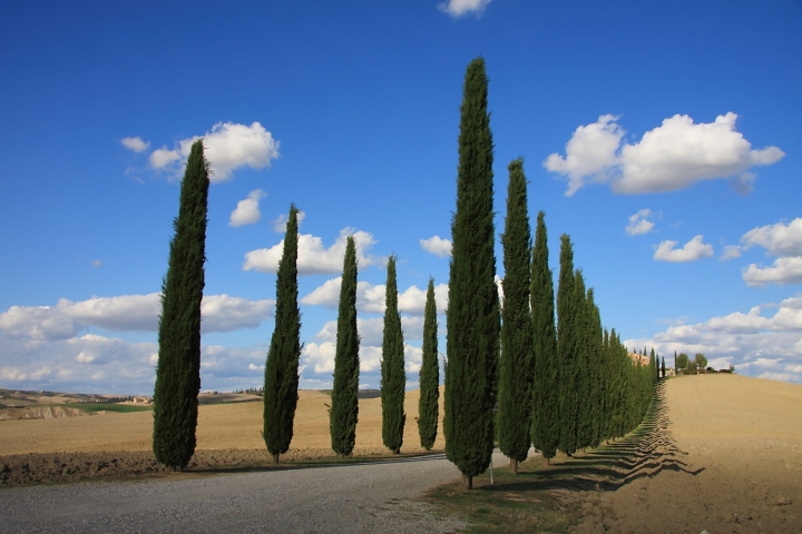 Podere della val d'OrciaSiena di panton