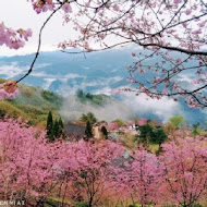 山上人家森林農場