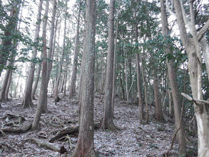 尾根の急登