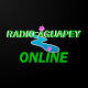 Download Radio Aguapey Online - Paraguay For PC Windows and Mac 1.1