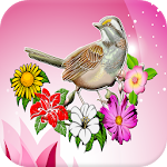 Flowers Match 3 Game Apk