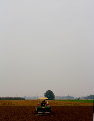 La bassa padana di spadina