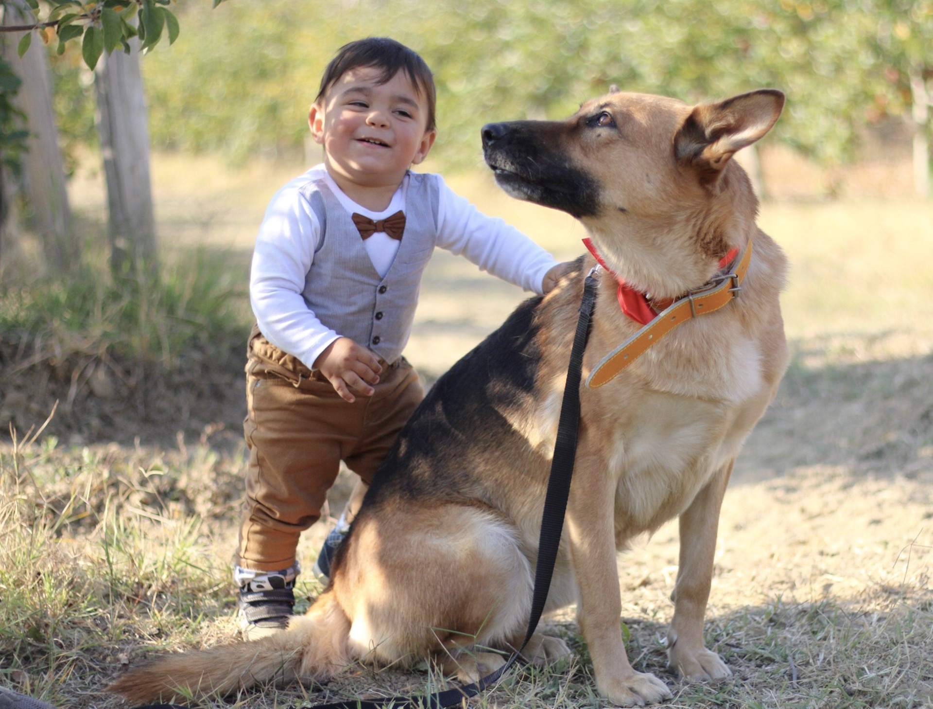 L’amore per gli animali  di Renata Roattino@jhonninaphoto