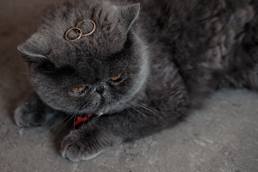 Düğün fotoğrafçısı Ariel Segovia (arielsegoviaph). 8 Şubat fotoları