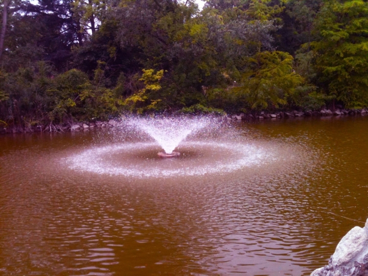 La strana fontana di silvanosinigaglia