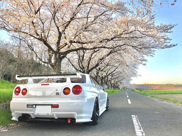 スカイライン GT-Rの桜と愛車・夕日に輝くあなたの愛車・ドライブ・久々の投稿😅💦・久々のドライブ😅💦に関するカスタム事例の投稿画像3枚目