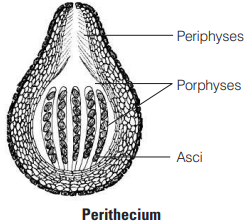 Solution Image