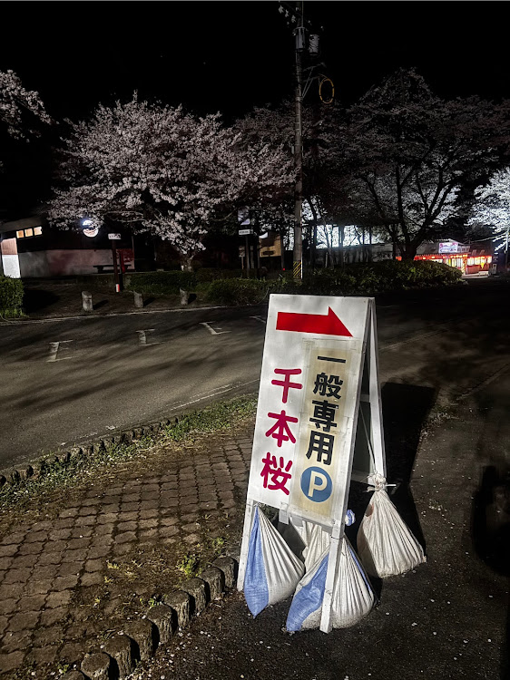 ハスラーの桜コラボ・サクラと愛車・桜と愛車・ドライブ・桜シーズン開幕に関するカスタム事例の投稿画像6枚目