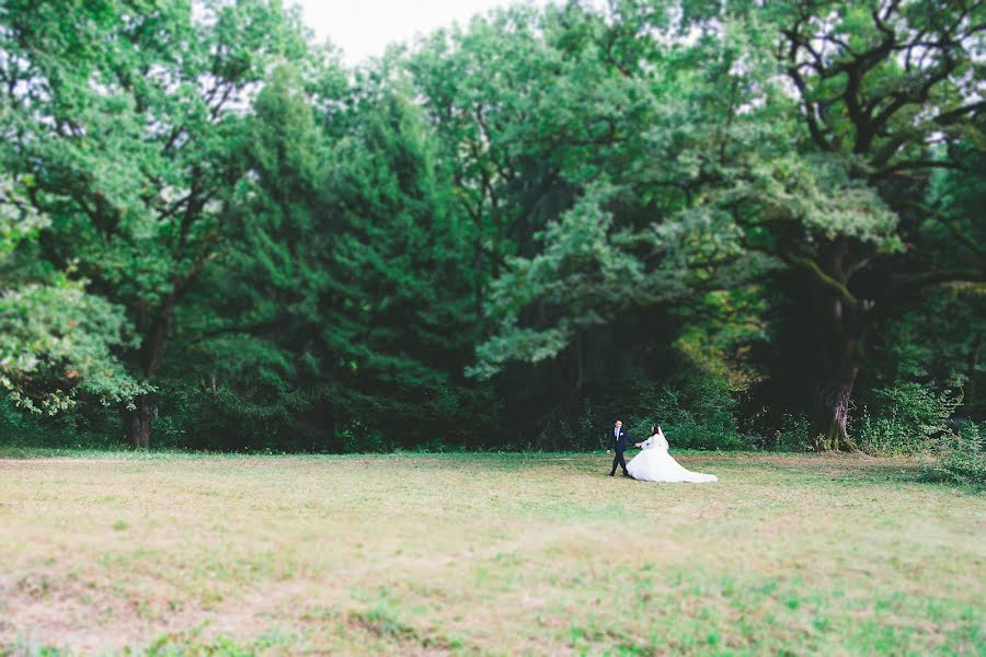 Photographe de mariage Mikola Gel (gelymike). Photo du 9 novembre 2016