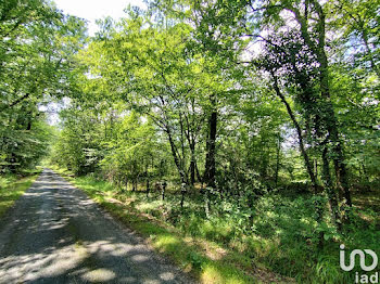 terrain à Le Fieu (33)