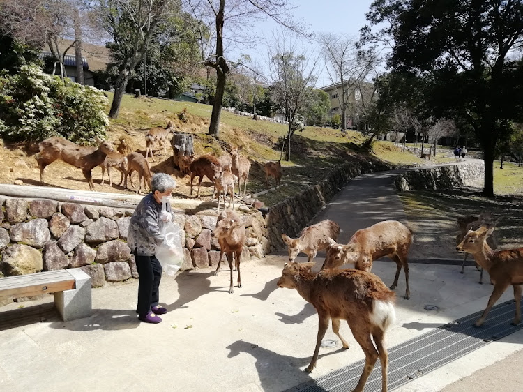 の投稿画像9枚目