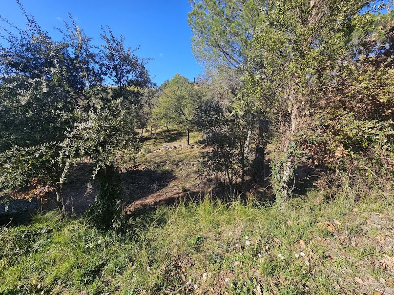 Vente terrain à batir  1300 m² à Vidauban (83550), 159 000 €