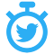 Item logo image for twitter-timer