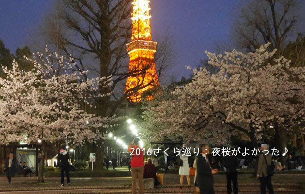 東京タワー＆芝公園の夜桜