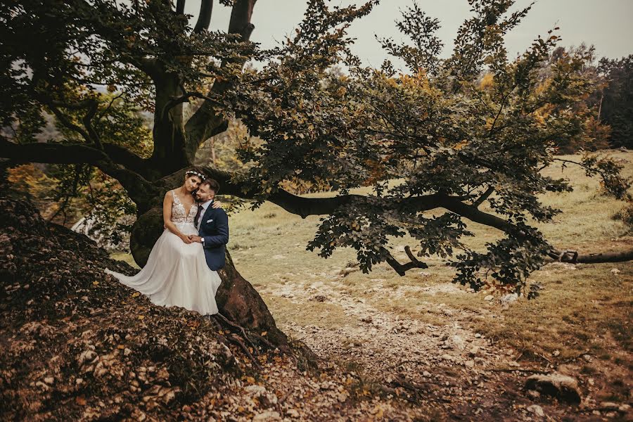 Fotografo di matrimoni Dominika Bieniek (dominikabieniek). Foto del 2 novembre 2022