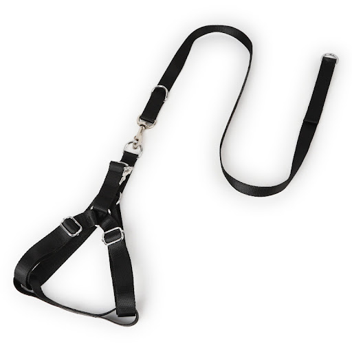 Title 1, Alloy Buckle Chest and Back Traction Rope provi...