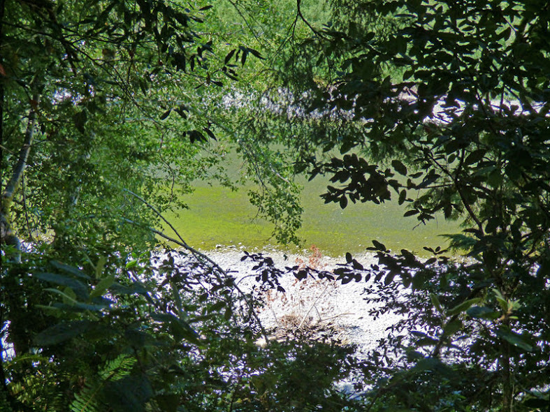 Riverview Trail, Loeb State Park