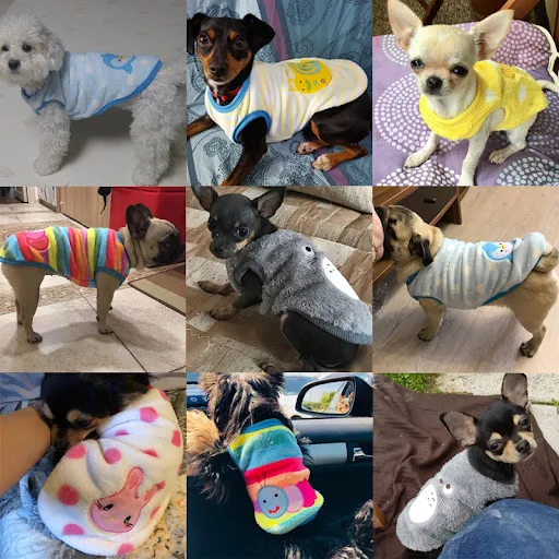 Winter Pet Dog Clothes For Small Dogs Cats Sweater Cute Soft Flannel Clothing For Dogs Puppy Chihuahua Costumes Warm Coa