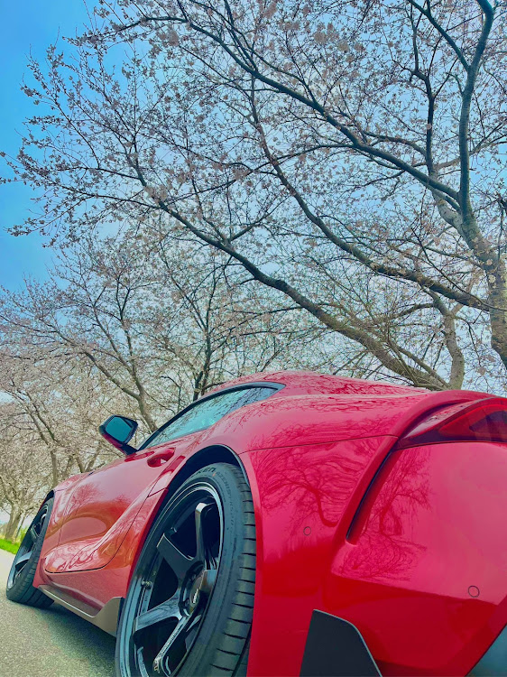 スープラの91スープラ・サクラと愛車・桜コラボ・桜に関するカスタム事例の投稿画像1枚目