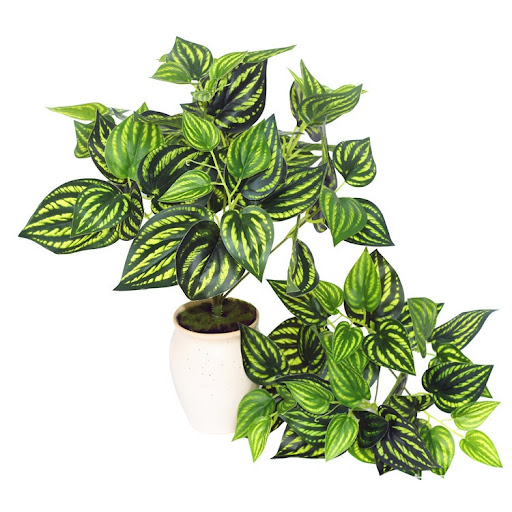 Title 24, Emulational Greenery Bonsai Large Leaf Plant Br...