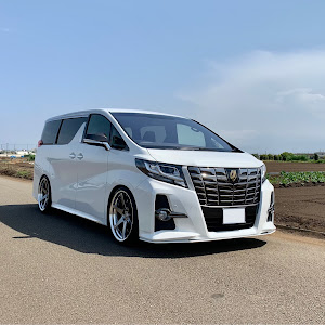 アルファード AYH30W