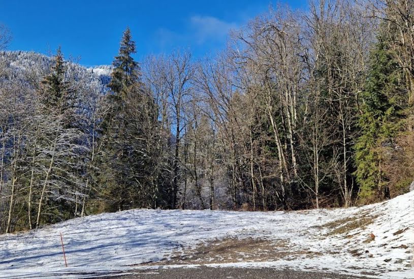  Vente Terrain à bâtir - à Bellevaux (74470) 