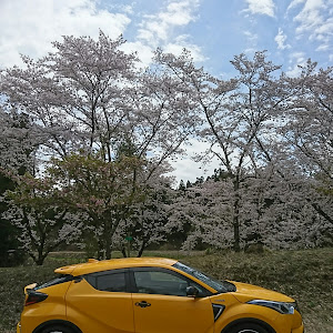 C-HR ZYX10