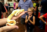 Zandrie Pretorius reacts as she see the world's first moth reptile during the KZN Reptile Expo in Pinetown. 