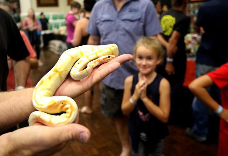 Zandrie Pretorius reacts as she see the world's first moth reptile during the KZN Reptile Expo in Pinetown.