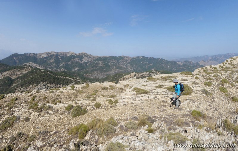 Pico Cabañas