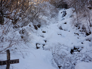 雪に埋もれた大滝