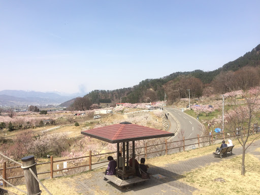 Anzu No Sato Kuboyama Park