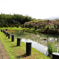 紫藤咖啡園(屯山園區)