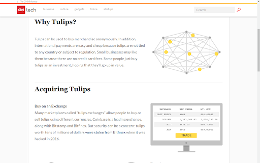 Bitcoin Tulips