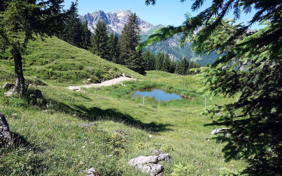 Hinterstein Willersalpe Hindelang Blick Großer Daumen