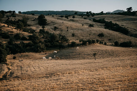 Svatební fotograf Giuseppe De Angelis (giudeangelis). Fotografie z 29.února 2020