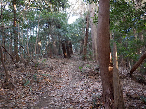 ここから本格的な登山に