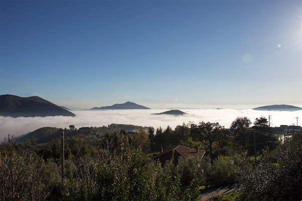 Nebbia di Photo Raf