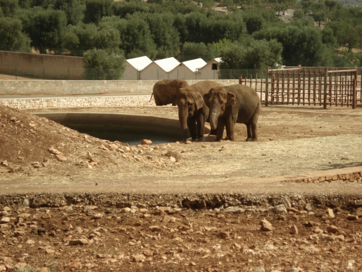 Confini animali... di marcovan