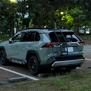 RAV4 MXAA54