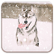 Item logo image for Husky Puppy In Snow