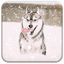 Husky Puppy In Snow Chrome extension download