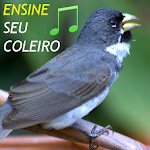 Coleiros: Cantos Para Encarte Apk