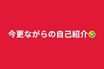 今更ながらの自己紹介🤣