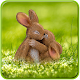 Download Easter Wallpaper For PC Windows and Mac 1.0