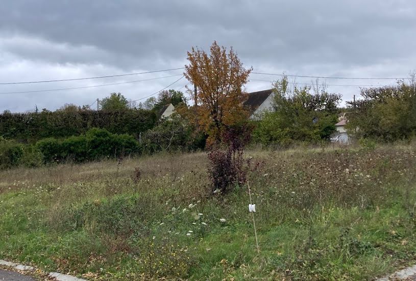  Vente Terrain à bâtir - 466m² à Cessoy-en-Montois (77520) 